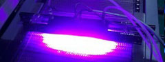 UVLED絲網印刷圖